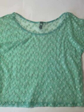 Mint Green Sheer Floral Mesh Embroidered‎ Short Sleeve Scoop Neck Top fairycore